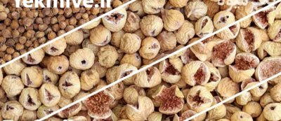 فروش عمده انجیر خشک استهبان در شیراز در گروه خرید و فروش انجیر در یکمیوه -عکس3