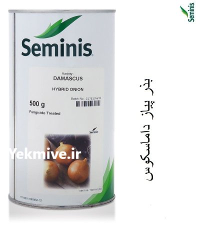 بذر پیاز داماسکوس در اندیشه در گروه خرید و فروش بذر پیاز در یکمیوه -عکس2