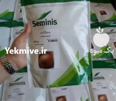 بذر پیاز زرد گلدن ای در باجگیران در گروه خرید و فروش بذر پیاز در یکمیوه -عکس1