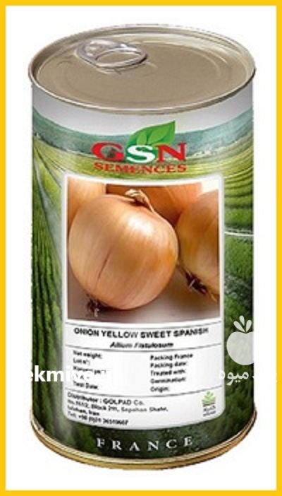 بذر پیاز سوئیت اسپنیش در اهواز در گروه خرید و فروش بذر پیاز در یکمیوه -عکس1