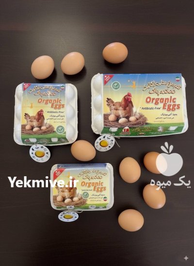 تخم مرغ محلی ارگانیک عمده در مشهد در گروه انواع تخم ها در یکمیوه -عکس1