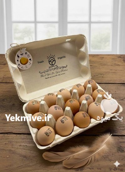 تخم مرغ محلی ارگانیک عمده در مشهد در گروه انواع تخم ها در یکمیوه -عکس2