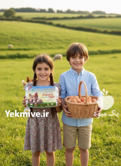 تخم مرغ محلی ارگانیک عمده در مشهد در گروه انواع تخم ها در یکمیوه -عکس3