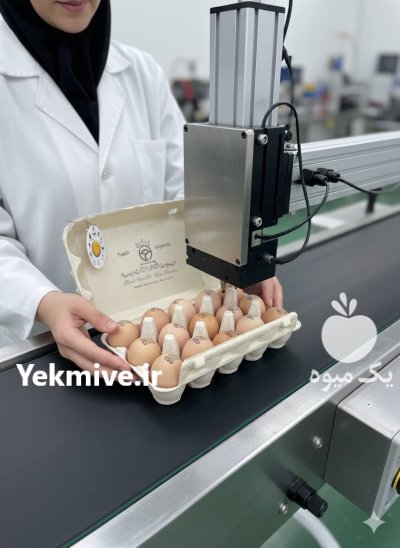 تخم مرغ محلی ارگانیک عمده در مشهد در گروه انواع تخم ها در یکمیوه -عکس4
