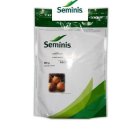 بذر پیاز داماسکوس در اندیشه در گروه خرید و فروش بذر پیاز در یکمیوه