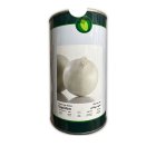 بذر پیاز سفید سپیدان در باباحیدر در گروه خرید و فروش بذر پیاز در یکمیوه