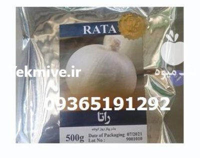 فروش بذر پیاز راتا در رودبار در رشت در گروه خرید و فروش بذر پیاز در یکمیوه -عکس1