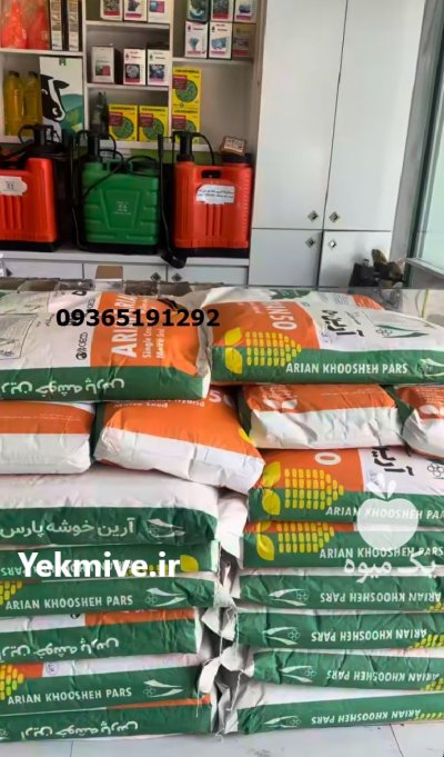 خرید بذر ذرت مسنجر باکیفیت بهترین در شیراز در گروه خرید و فروش بذر ذرت در یکمیوه -عکس1