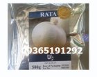 فروش بذر پیاز راتا در رودبار در رشت در گروه خرید و فروش بذر پیاز در یکمیوه