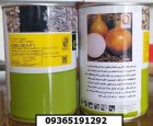 فروش بذر پیاز انزا چلسی محصولی در کرمان در گروه خرید و فروش بذر پیاز در یکمیوه
