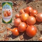 فروش بذر پیاز ماراگوگی عملکرد بالا در شیراز در گروه خرید و فروش بذر پیاز در یکمیوه