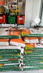 خرید بذر ذرت مسنجر باکیفیت بهترین در شیراز در گروه خرید و فروش بذر ذرت در یکمیوه