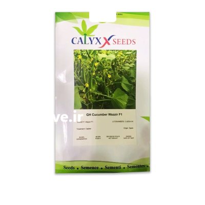 بذر خیار پرگل گلخانه ای و زیر در بندردیر در گروه خرید و فروش بذر خیار در یکمیوه -عکس1