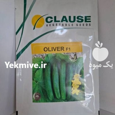 بذر خیار الیور کلوز در باجگیران در گروه خرید و فروش بذر خیار در یکمیوه -عکس1