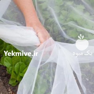 کاور ضد سرمازدگی محصولات کشاورزی در چاه بهار در گروه خرید و فروش توری گلخانه در یکمیوه -عکس1
