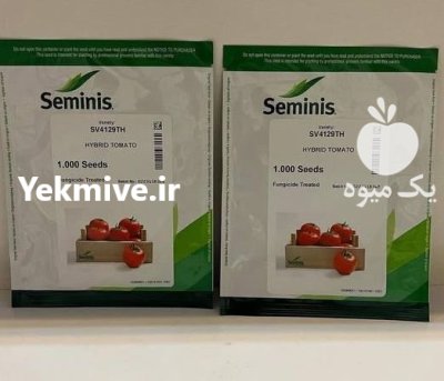 “بذر گوجه 4129 SV 4129 TH F 1 ” در آرین شهر در گروه خرید و فروش بذر گوجه در یکمیوه -عکس1