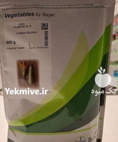 بذر کدو کلاریتا در آبپخش در گروه خرید و فروش بذر کدو در یکمیوه -عکس1