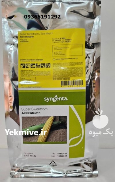 خرید بذر ذرت اکسن چوئیت اصل در کازرون در گروه خرید و فروش بذر ذرت در یکمیوه -عکس1