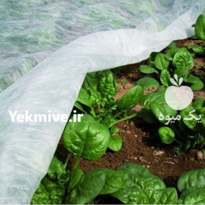 کاور ضد سرمازدگی محصولات کشاورزی در یاسوج در گروه خرید و فروش توری گلخانه در یکمیوه -عکس1