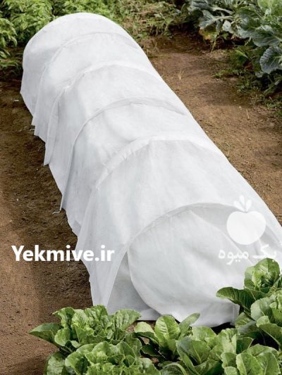 کاور ضد سرمازدگی محصولات کشاورزی در قائم شهر در گروه خرید و فروش توری گلخانه در یکمیوه -عکس1