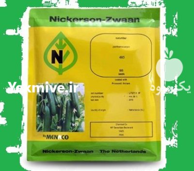 بذر خیار نیکرسون بذر خیار پاییزی در بیرجند در گروه خرید و فروش بذر خیار در یکمیوه -عکس3