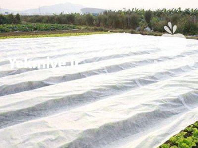 کاور ضد سرمازدگی محصولات کشاورزی در پارس آباد در گروه خرید و فروش توری گلخانه در یکمیوه -عکس1