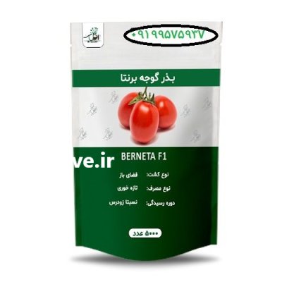 بذر گوجه برنتا درجه یک بهترین در بوشهر در گروه خرید و فروش بذر گوجه در یکمیوه -عکس1