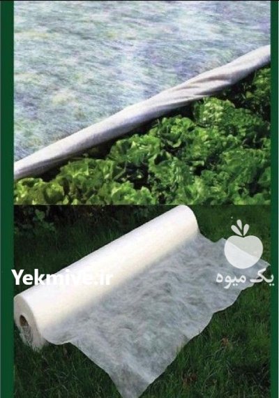 نوار تیپ آبیاری قطره ای در تاکستان در گروه خرید و فروش نوار تیپ در یکمیوه -عکس1