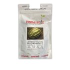 فروش بذر هندوانه رودخان اماسیدز در آبعلی در گروه خرید و فروش بذر هندوانه در یکمیوه