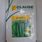 بذر خیار الیور کلوز در باجگیران در گروه خرید و فروش بذر خیار در یکمیوه