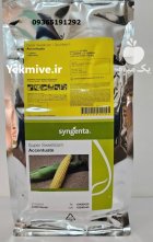 خرید بذر ذرت اکسن چوئیت اصل در کازرون در گروه خرید و فروش بذر ذرت در یکمیوه