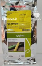 بذر ذرت اکسن چوئیت درجه یک در اهواز در گروه خرید و فروش بذر ذرت در یکمیوه