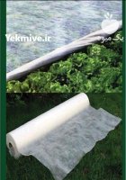 نوار تیپ آبیاری قطره ای در تاکستان در گروه خرید و فروش نوار تیپ در یکمیوه