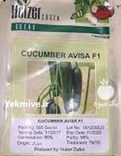 بذر خیار گلخانه آویسا در اسفدن در گروه خرید و فروش بذر خیار در یکمیوه -عکس1