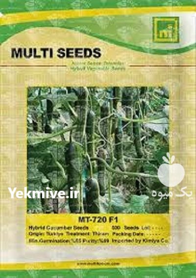 بذر خیار گلخانه ای MT 720 در باغستان در گروه خرید و فروش بذر خیار در یکمیوه -عکس1