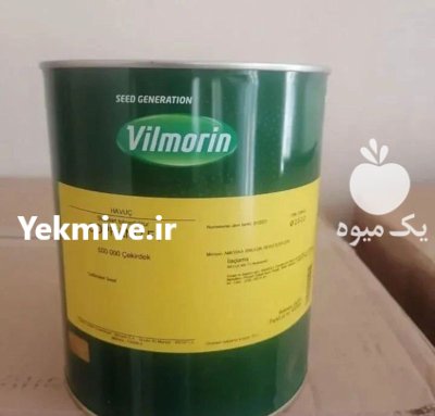 بذر هویج سوپرانو در سلفچگان در گروه خرید و فروش بذر هویج در یکمیوه -عکس1
