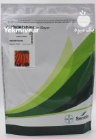 بذر هویج ٢٣١٣ سمینیس در اشکنان در گروه خرید و فروش بذر هویج در یکمیوه