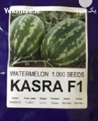 بذر هندوانه کسری در آبسرد در گروه خرید و فروش بذر هندوانه در یکمیوه