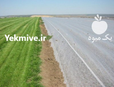 قیمت خرید فوم گوجه فرنگی ضد در تهران در گروه خرید و فروش انواع پوشش ها در یکمیوه -عکس1