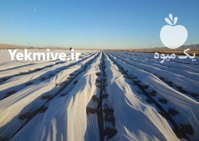 فروش کاور های مقاوم ضد سرما در ارومیه در گروه خرید و فروش انواع پوشش ها در یکمیوه -عکس1