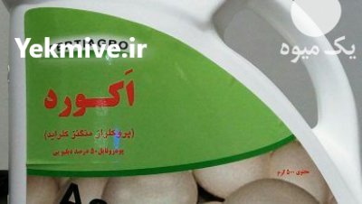سم قارچ کش آکورد در برازجان در گروه خرید و فروش انواع سم در یکمیوه -عکس1