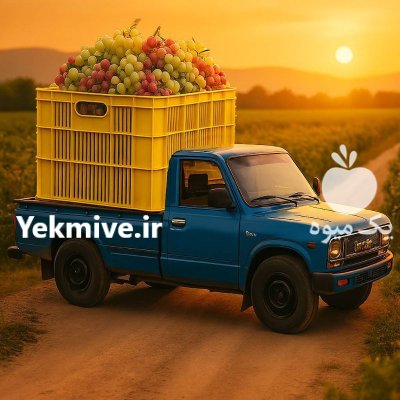 سبد و پالت در قزوین در گروه خرید و فروش پالت در یکمیوه -عکس1