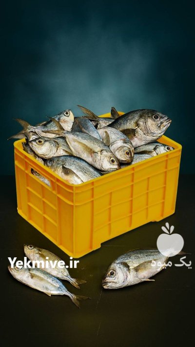 سبد و پالت در قزوین در گروه خرید و فروش پالت در یکمیوه -عکس4