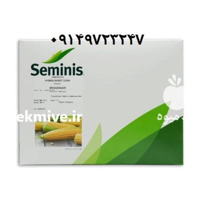 فروش بذر ذرت مسنجر Messenger در شیراز در گروه خرید و فروش بذر ذرت در یکمیوه -عکس1