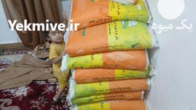 فروش بذر ذرت تری کراس مغان 647 در حمزه در گروه خرید و فروش بذر ذرت در یکمیوه -عکس1