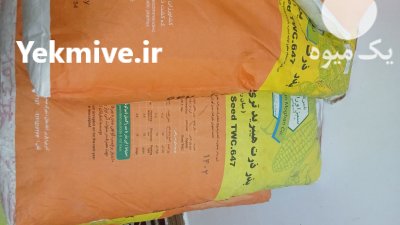 فروش بذر ذرت تری کراس مغان 647 در حمزه در گروه خرید و فروش بذر ذرت در یکمیوه -عکس2