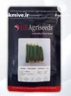 بذر خیار سورینا در شهرکرد در گروه خرید و فروش بذر خیار در یکمیوه