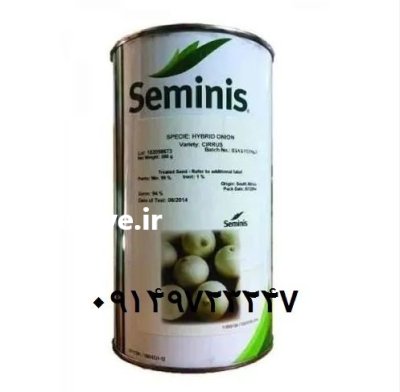 فروش بذر پیاز سایروس Cyrus در کرمان  در گروه خرید و فروش بذر پیاز در یکمیوه -عکس1