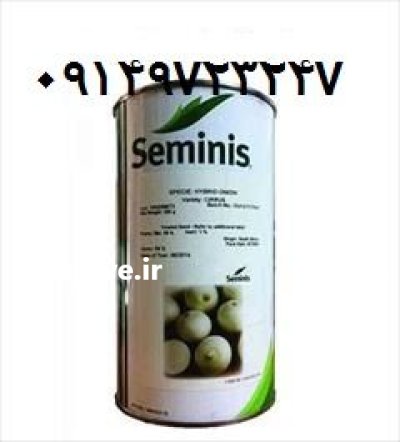 بذر پیاز سایروس انتخاب حرفه ای در کهنوج در گروه خرید و فروش بذر پیاز در یکمیوه -عکس1