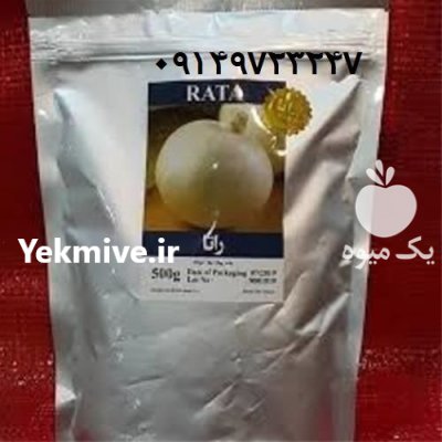 فروش بذر پیاز راتا Rata در رودبار در گروه خرید و فروش بذر پیاز در یکمیوه -عکس1